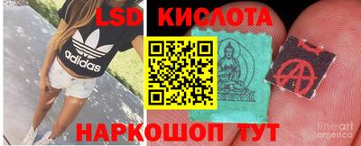 прущие грибы Кингисепп