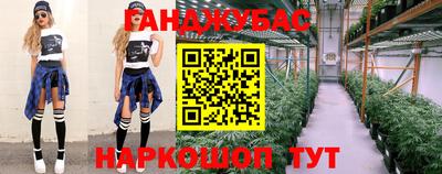 прущие грибы Кингисепп