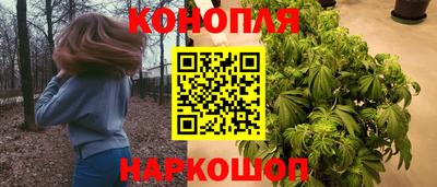 прущие грибы Кингисепп