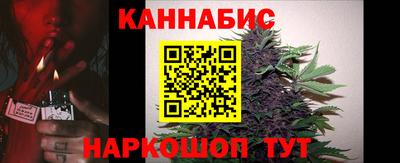 прущие грибы Кингисепп