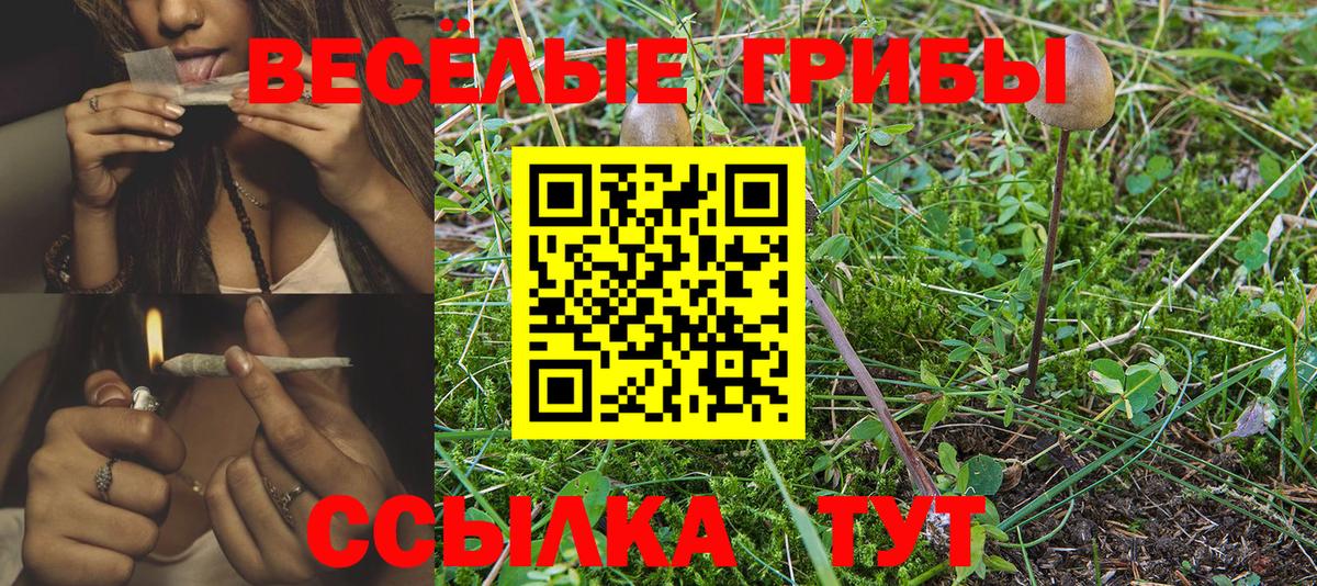 Галлюциногенные грибы ЛСД  цена   Тверь  Вход с VPN 